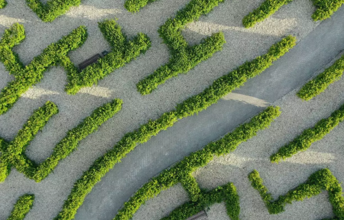 Five Barriers CEOs Must Overcome for AI Impact